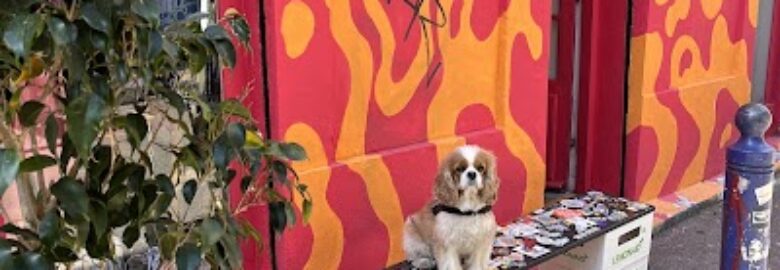 Bonjourjeannot – friperie vintage | concept store | création/upcycling