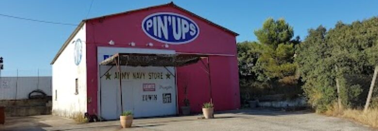 PIN’UPS
